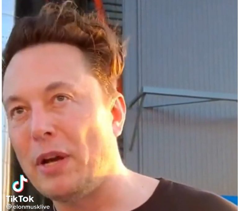 Elon Musk Reportedly Becomes a Father for the 13th Time – A Romance with an Influencer?