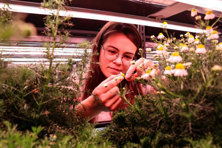 Vertical farming research sheds light on producing medicinal compounds
